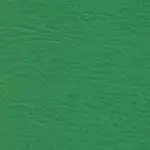 Tapizado Verde